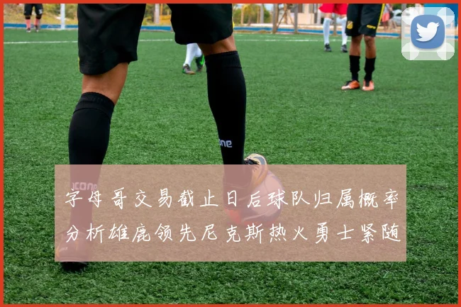 字母哥交易截止日后球队归属概率分析雄鹿领先尼克斯热火勇士紧随其后