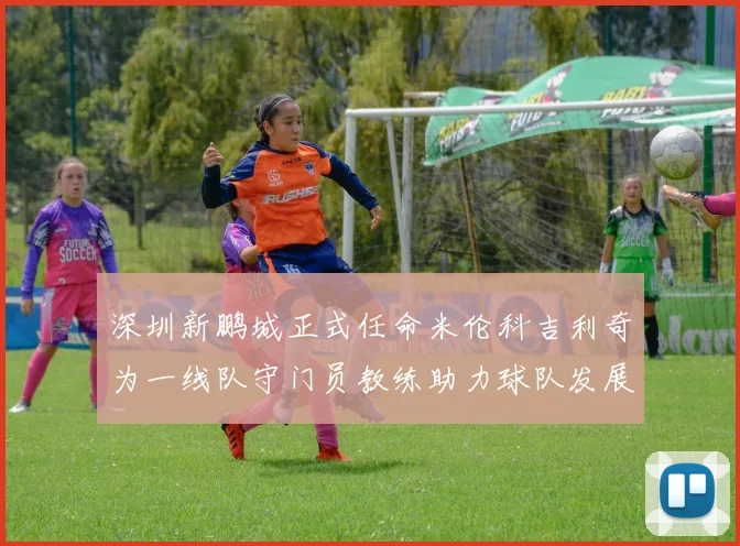 深圳新鹏城正式任命米伦科吉利奇为一线队守门员教练助力球队发展